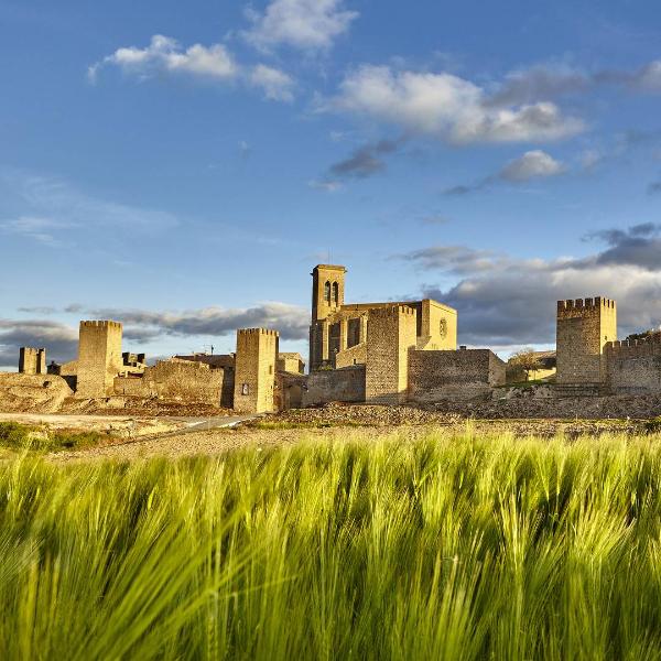 Forteresse d’Artajona